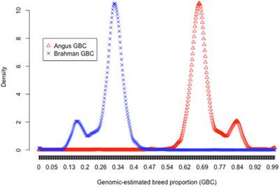 A look under the hood of genomic-estimated breed compositions for brangus cattle: What have we learned?